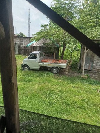 dijual-tanah-kandang-ayam-petelur-siap-pakai-big-3