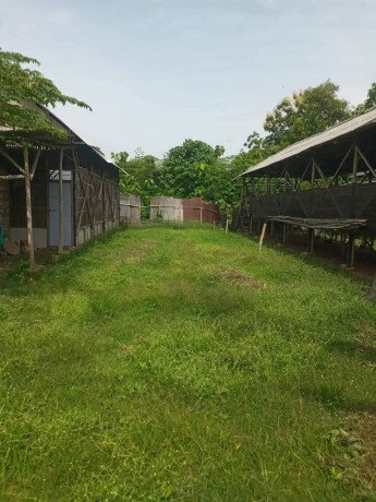 dijual-tanah-kandang-ayam-petelur-siap-pakai-big-0