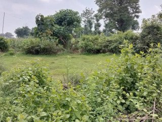 Dijual tanah luas 139 m² di kawasan Widengan, Tuban