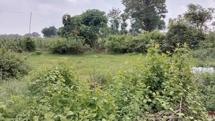 dijual-tanah-luas-139-m2-di-kawasan-widengan-tuban-big-0