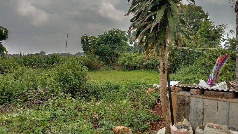 dijual-tanah-luas-139-m2-di-kawasan-widengan-tuban-big-1