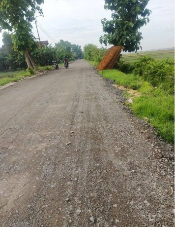 dijual-sawah-shm-pinggir-jalan-cor-desa-big-3