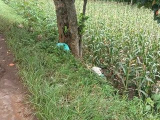 Dijual Tanah Pribadi SHM Luas 956 m²