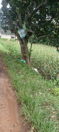 dijual-tanah-pribadi-shm-luas-956-m2-big-0