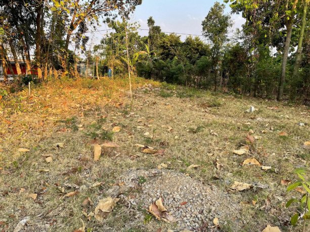 dijual-tanah-pekarangan-big-0