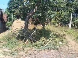 Dijual Tanah Luas 981 m² Parengan, Tuban