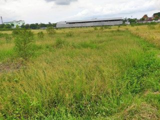 DIJUAL SEBIDANG TANAH PERTANIAN LOKASI STRATEGIS BELAKANG SHOWROOM DAIHATSU