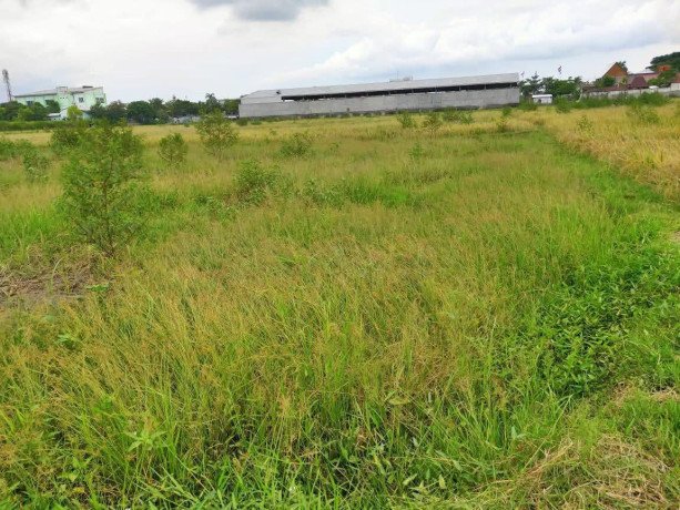 dijual-sebidang-tanah-pertanian-lokasi-strategis-belakang-showroom-daihatsu-big-0