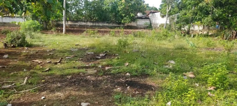 dijual-tanah-shm-luas-430-m2-big-1