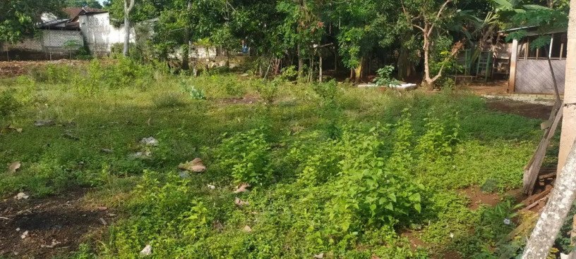 dijual-tanah-shm-luas-430-m2-big-0