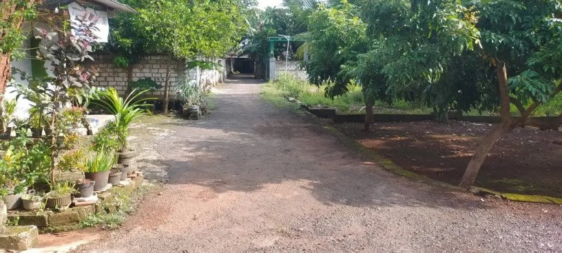 dijual-tanah-shm-luas-430-m2-big-3