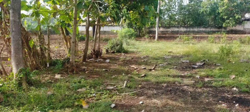 dijual-tanah-shm-luas-430-m2-big-2