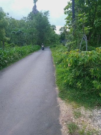 dijual-sebidang-tanah-pekarangan-tegalagung-big-1