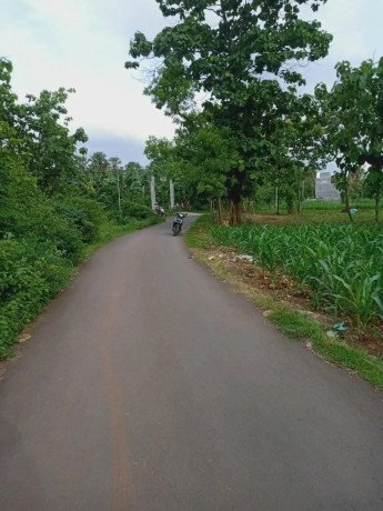 dijual-sebidang-tanah-pekarangan-tegalagung-big-2