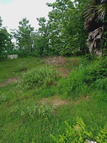 dijual-sebidang-tanah-pekarangan-tegalagung-big-0