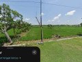 jual-cepat-lahan-sawah-harga-menarik-small-1