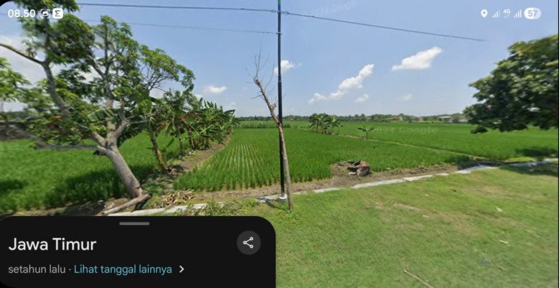 jual-cepat-lahan-sawah-harga-menarik-big-1