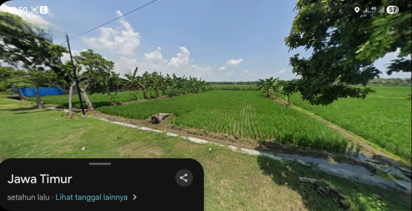 jual-cepat-lahan-sawah-harga-menarik-big-0