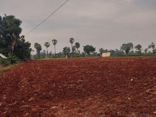 DIJUAL TANAH LOKASI TEGALBANG