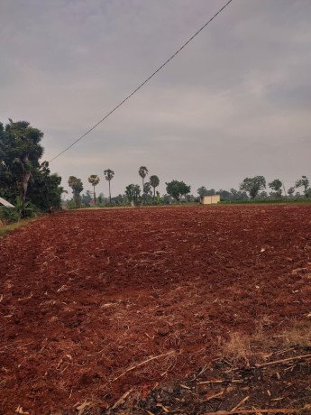 dijual-tanah-lokasi-tegalbang-big-0