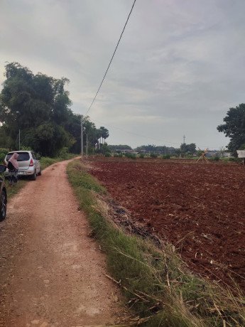 dijual-tanah-lokasi-tegalbang-big-2