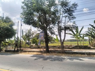 DIJUAL LAHAN USAHA STRATEGIS, Kalitidu Bojonegoro