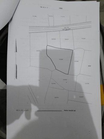 dijual-tanah-pertanian-strategis-arah-kedaton-tanjungharjo-kapas-bojonegoro-big-1