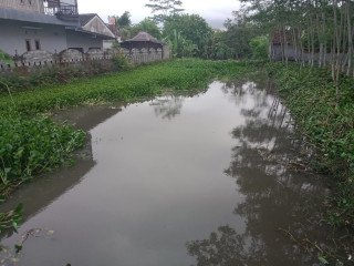 DISEWAKAN KOLAM IKAN LOKASI STRATEGIS