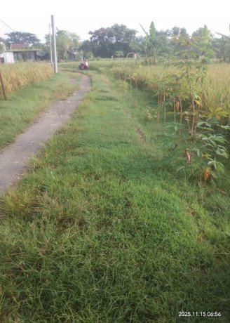 dijual-tanah-pertanian-pekarangan-shm-big-0