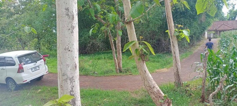 dijual-tanah-pribadi-siap-bangun-big-0