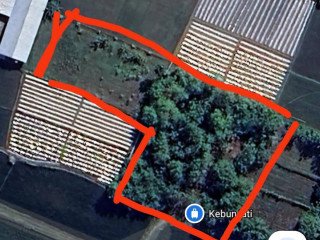 Dijual / Disewakan Tanah Cocok untuk Usaha Peternakan