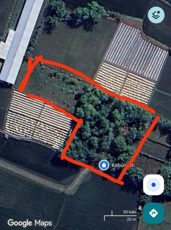 dijual-disewakan-tanah-cocok-untuk-usaha-peternakan-big-0