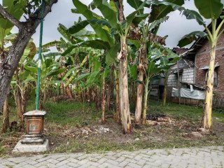 Dijual Tanah SHM Lokasi Strategis Desa Kapas