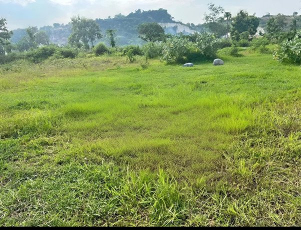 dijual-tanah-shm-lokasi-wangun-palang-big-0