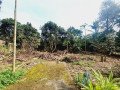 dijual-tanah-datar-plus-rumah-1268m2-curug-kulon-tangerang-banten-small-0