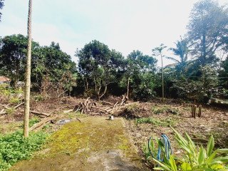 Dijual TANAH datar (plus rumah) 1268m² Curug Kulon Tangerang Banten