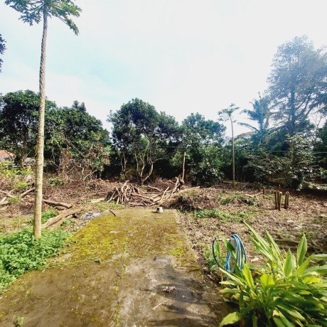 dijual-tanah-datar-plus-rumah-1268m2-curug-kulon-tangerang-banten-big-0