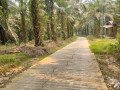 tanah-murah-dijual-shm-13994-m2-di-kota-balikpapan-small-3