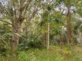 tanah-murah-dijual-shm-13994-m2-di-kota-balikpapan-small-4