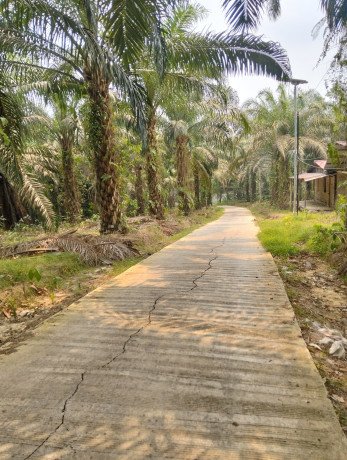 tanah-murah-dijual-shm-13994-m2-di-kota-balikpapan-big-3