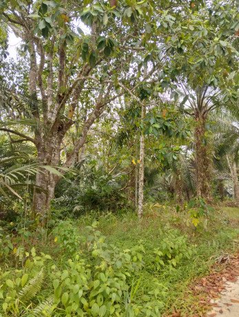 tanah-murah-dijual-shm-13994-m2-di-kota-balikpapan-big-4