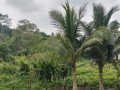 tanah-murah-dijual-shm-18830-m2kota-balikpapan-small-2
