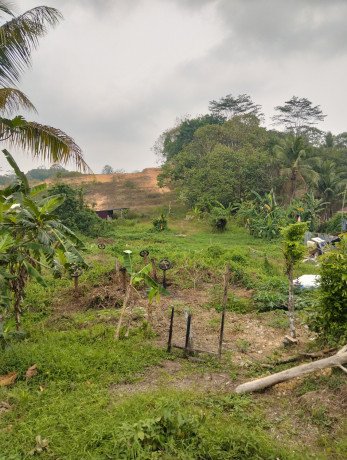 tanah-murah-dijual-shm-18830-m2kota-balikpapan-big-3