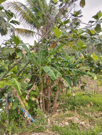 tanah-murah-dijual-shm-18830-m2kota-balikpapan-big-4