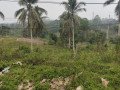 tanah-dijual-murah-shm-hak-milik-65000-m2-65-hektar-di-kota-balikpapan-small-2
