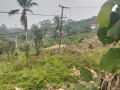 tanah-dijual-murah-shm-hak-milik-65000-m2-65-hektar-di-kota-balikpapan-small-3