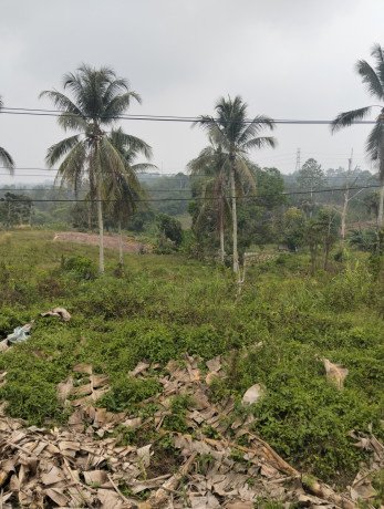 tanah-dijual-murah-shm-hak-milik-65000-m2-65-hektar-di-kota-balikpapan-big-2