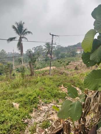 tanah-dijual-murah-shm-hak-milik-65000-m2-65-hektar-di-kota-balikpapan-big-3
