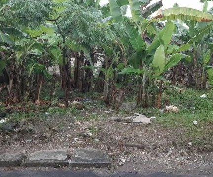 dijual-tanah-pinggir-jalan-dalam-kota-tuban-big-1