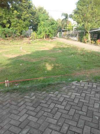 dijual-tanah-strategis-lokasi-bejagung-tuban-big-1